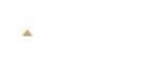 aegis logo blanc linkedin